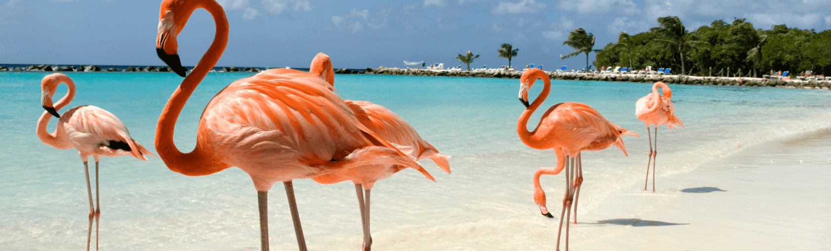 Graag stellen wij ons voor