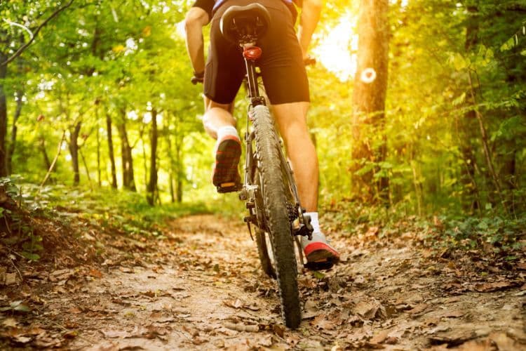 Actieve singlereis in de Ardennen? Dit zijn jouw mogelijkheden