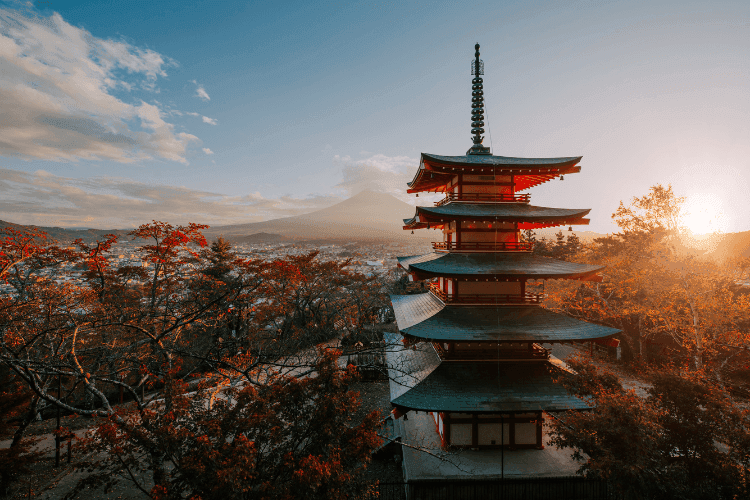 Jouw rondreis naar Japan: