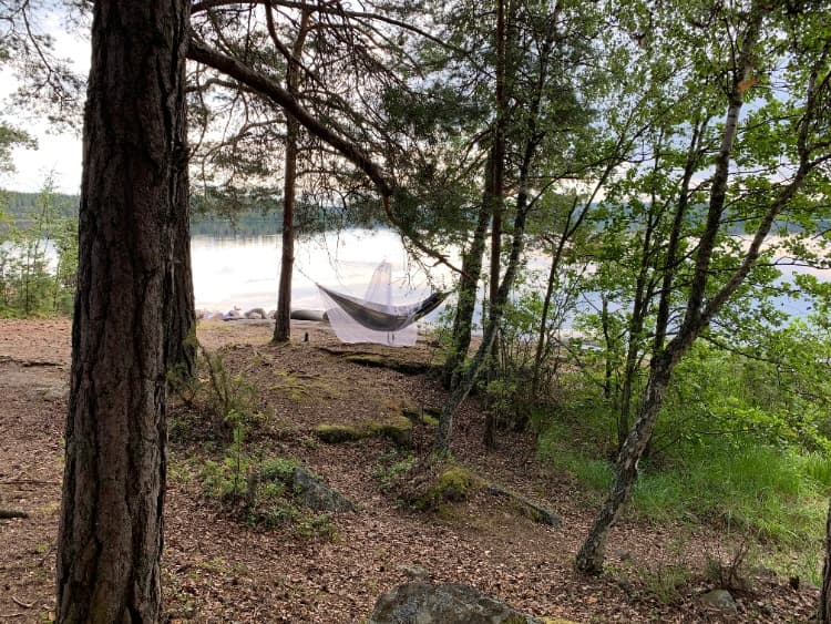 Wildkamperen Zweden foto 1