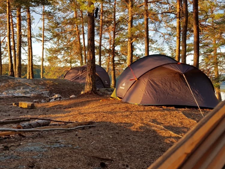 Wildkamperen Zweden foto 2