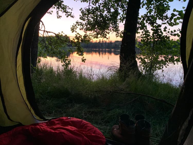 Wildkamperen Zweden foto 3