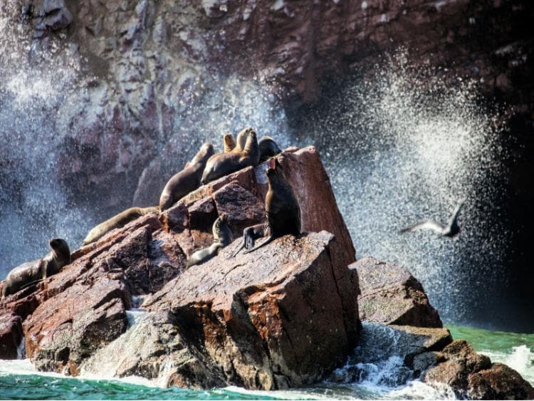 Dag 3 - Lima - Pisco - Huacachina / Ica