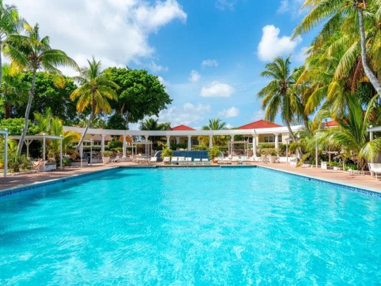 Livingstone Jan Thiel **** foto 1